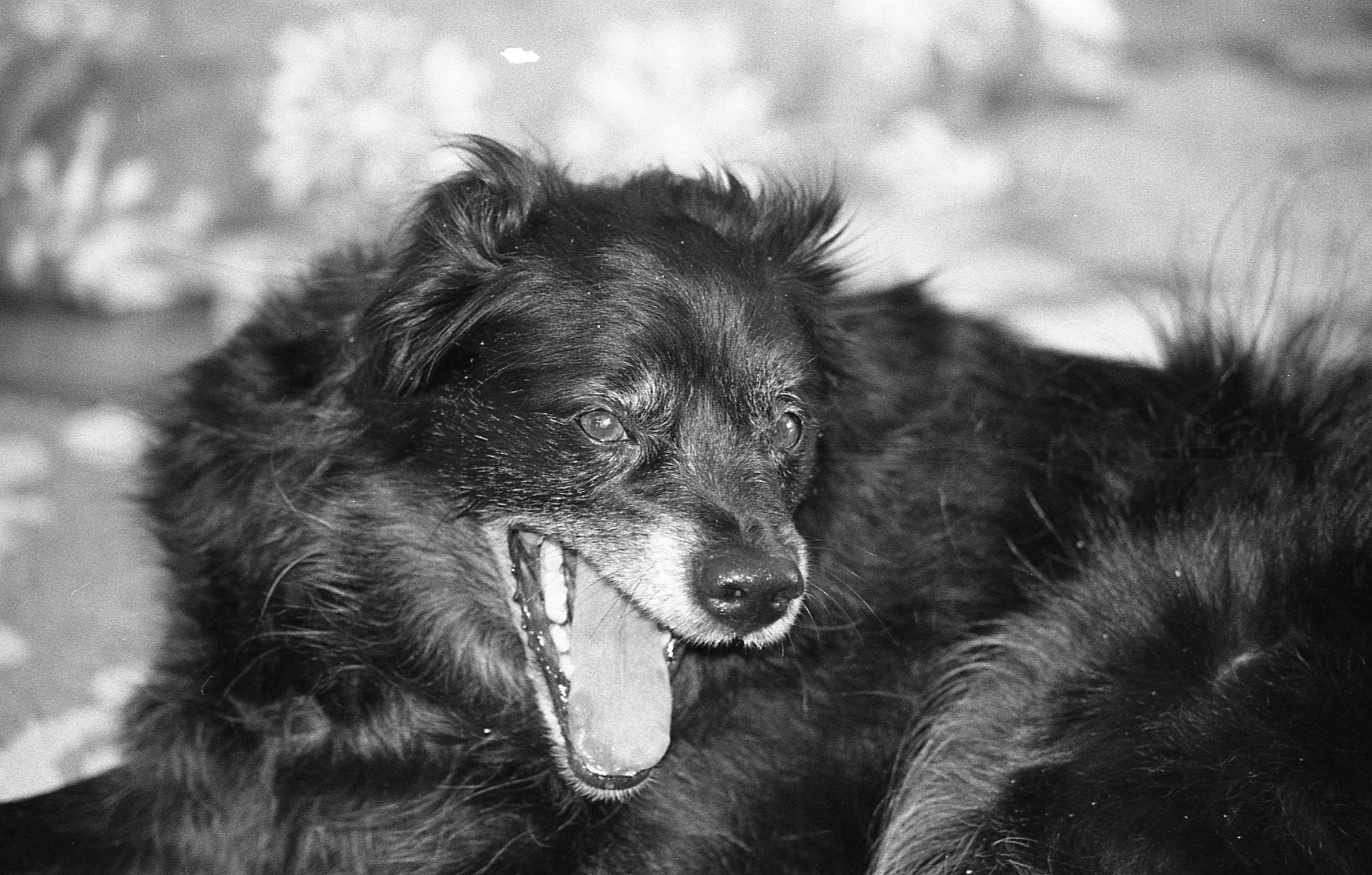 "AI art" and Creative Practice